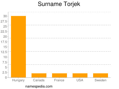 Familiennamen Torjek