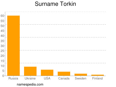 Surname Torkin