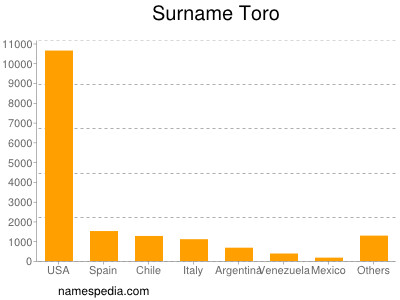 Surname Toro