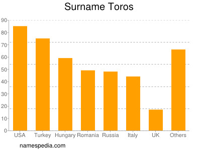 Familiennamen Toros