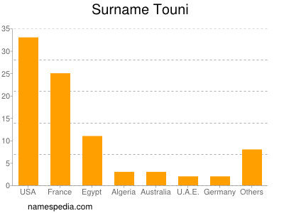 Surname Touni