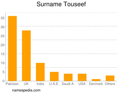 Familiennamen Touseef