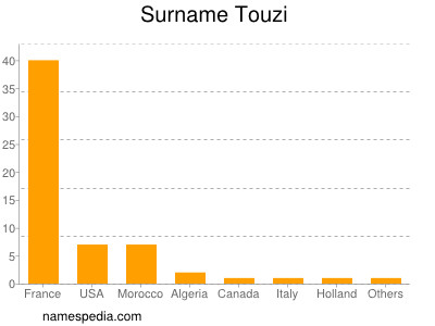 Surname Touzi