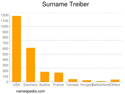 Familiennamen Treiber