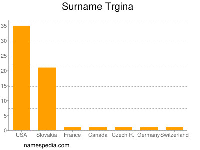 Familiennamen Trgina