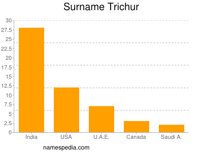 Surname Trichur
