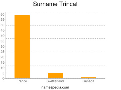 Familiennamen Trincat
