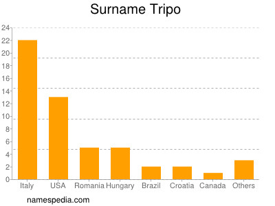 Surname Tripo