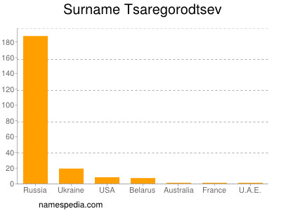 Familiennamen Tsaregorodtsev