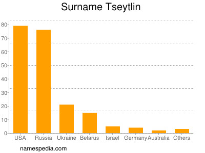 Surname Tseytlin