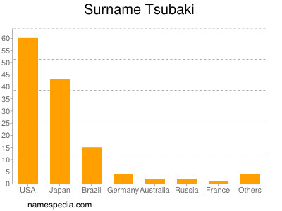 Surname Tsubaki