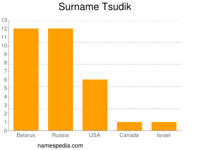 Familiennamen Tsudik