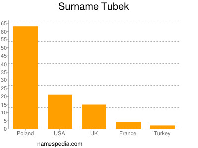 Surname Tubek