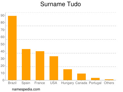 Familiennamen Tudo