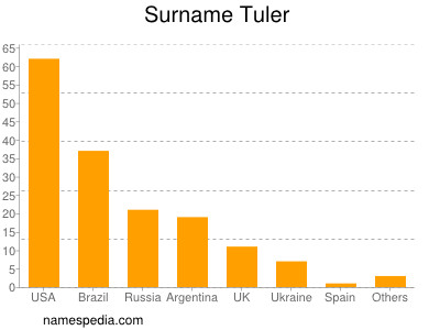 Surname Tuler