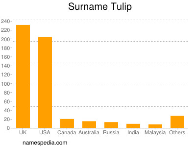 Familiennamen Tulip