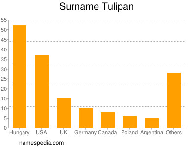 Surname Tulipan