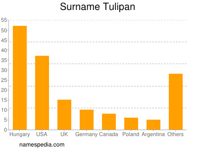 Familiennamen Tulipan