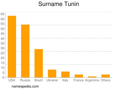 Surname Tunin