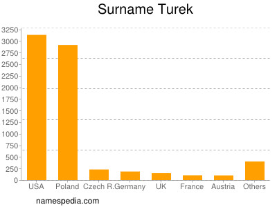 Familiennamen Turek