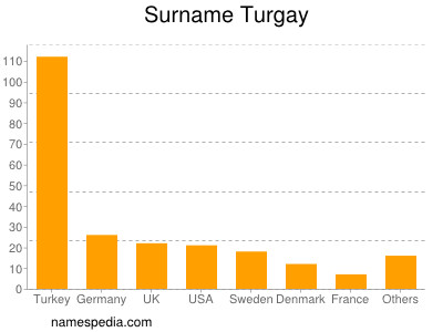 Familiennamen Turgay