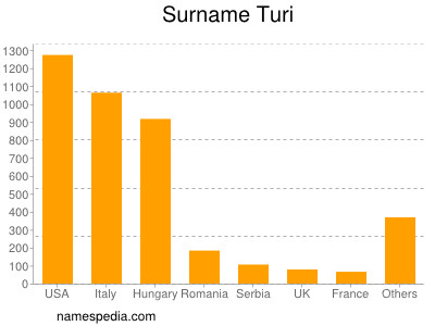 Familiennamen Turi