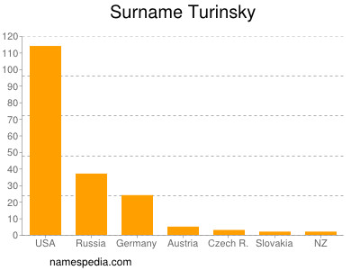 Familiennamen Turinsky