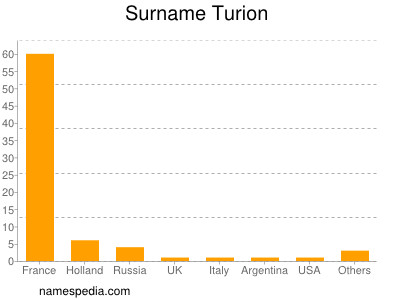 Surname Turion