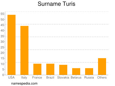 Familiennamen Turis