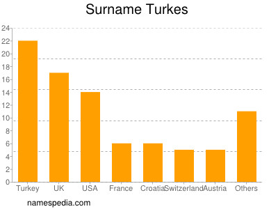 Familiennamen Turkes