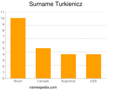 Surname Turkienicz