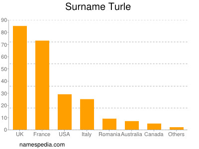 Surname Turle