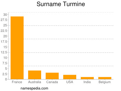 Familiennamen Turmine