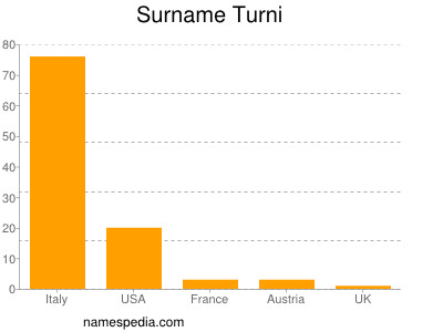 Surname Turni