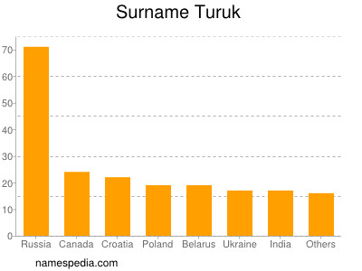 Familiennamen Turuk