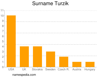 Familiennamen Turzik