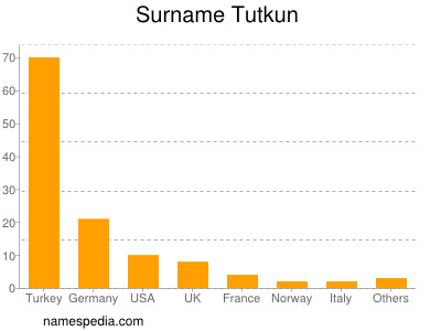 Familiennamen Tutkun