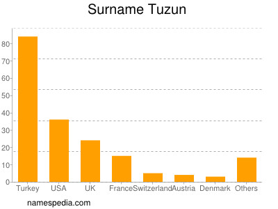 Familiennamen Tuzun