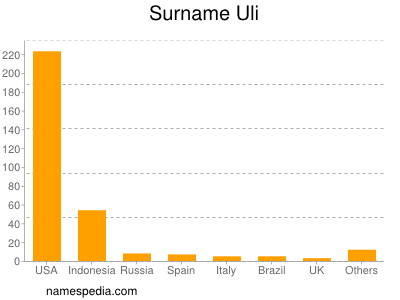 Familiennamen Uli