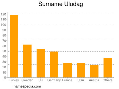 Surname Uludag