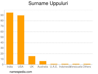 Familiennamen Uppuluri