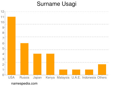 Surname Usagi