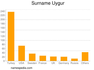 Familiennamen Uygur