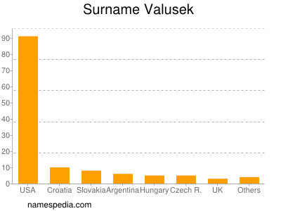 Surname Valusek