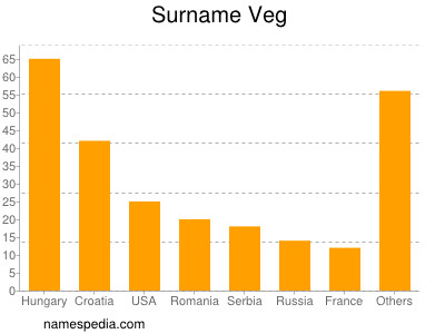 Familiennamen Veg