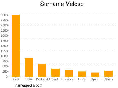 Familiennamen Veloso