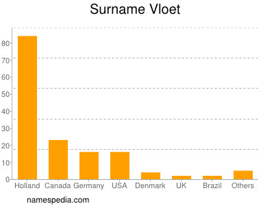 Surname Vloet