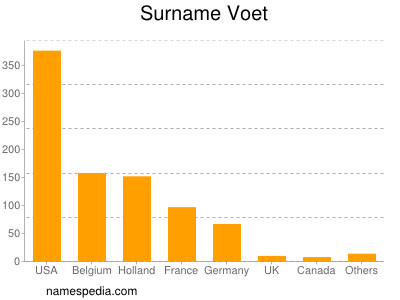 Surname Voet