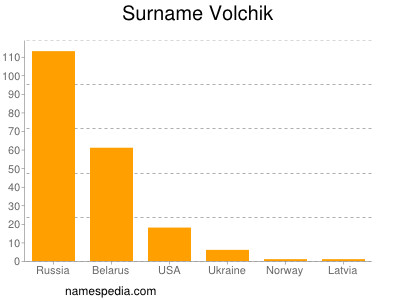 Familiennamen Volchik