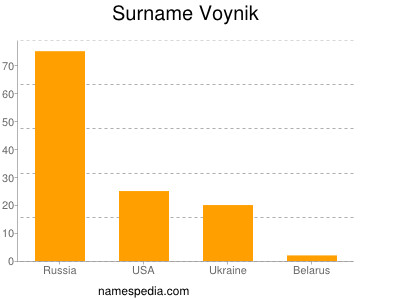 Surname Voynik